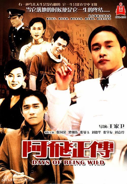 福贾大学社会学文凭证书